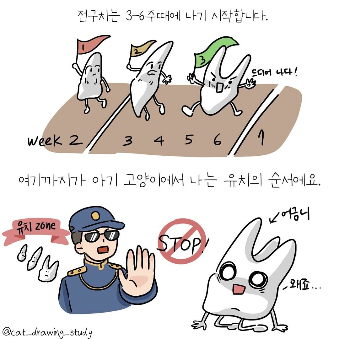 본문 이미지 -  