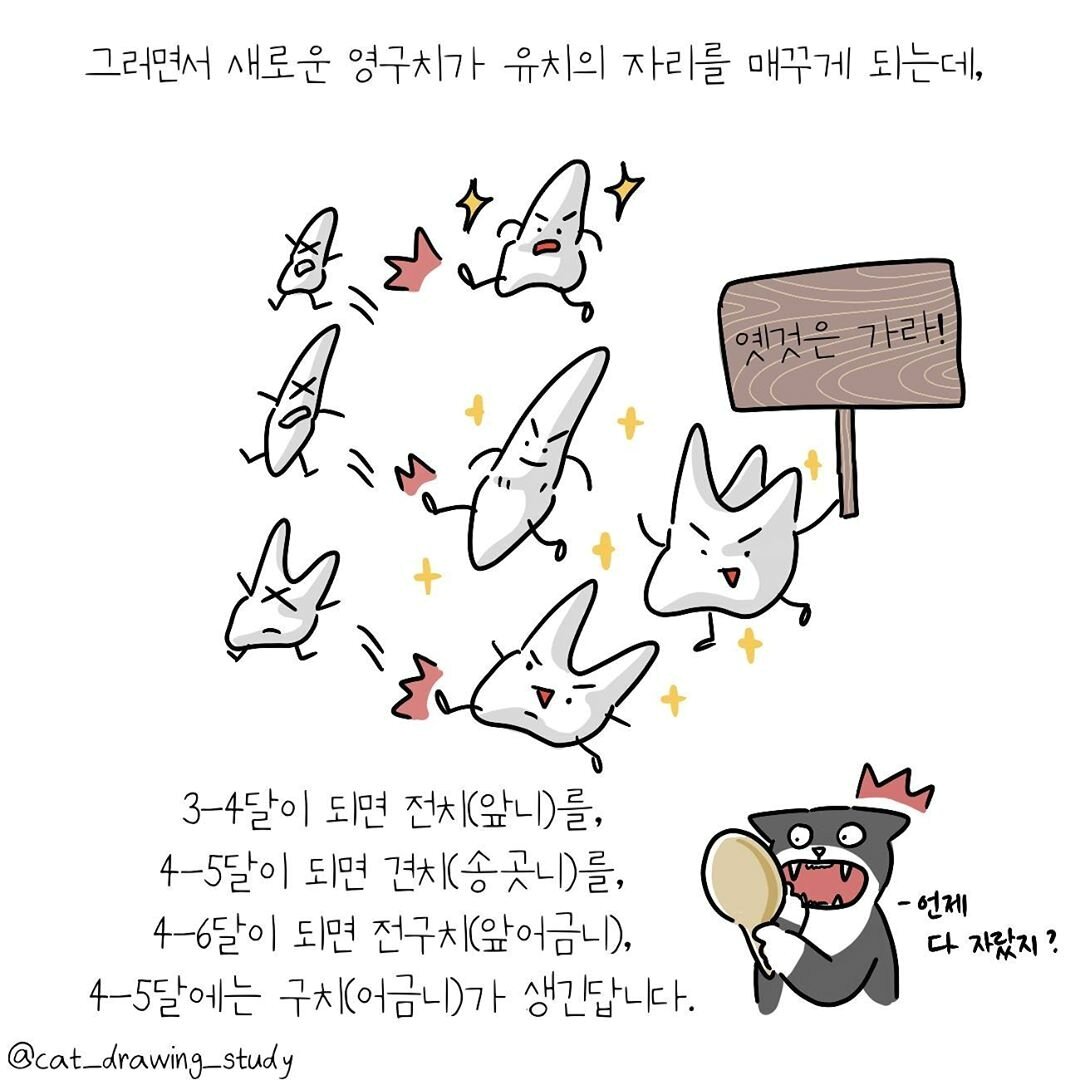 본문 이미지 -  