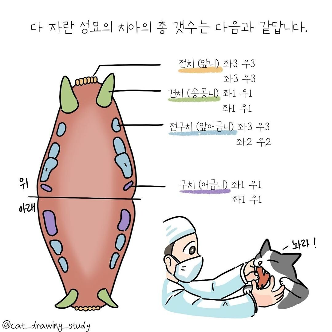 본문 이미지 -  