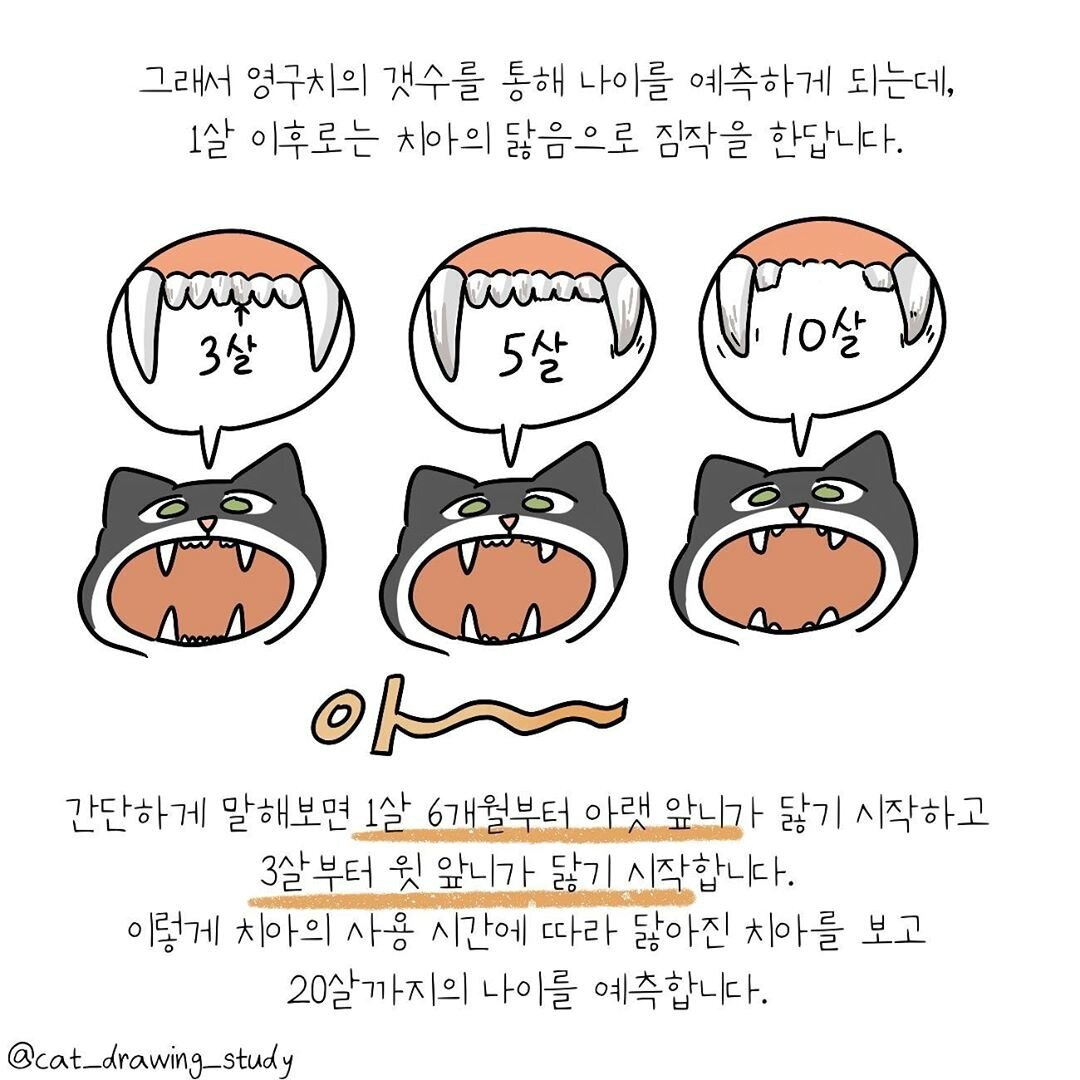 본문 이미지 -  