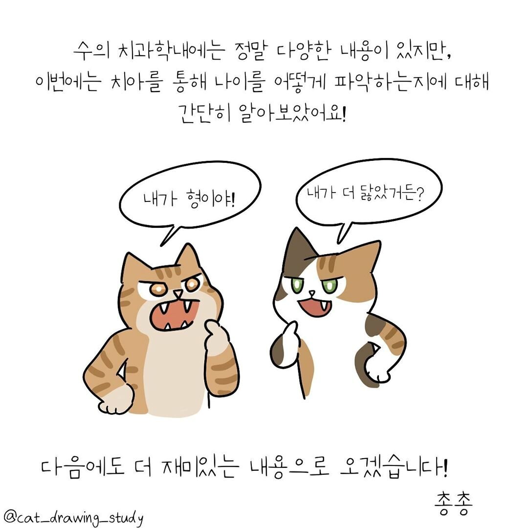 본문 이미지 -  