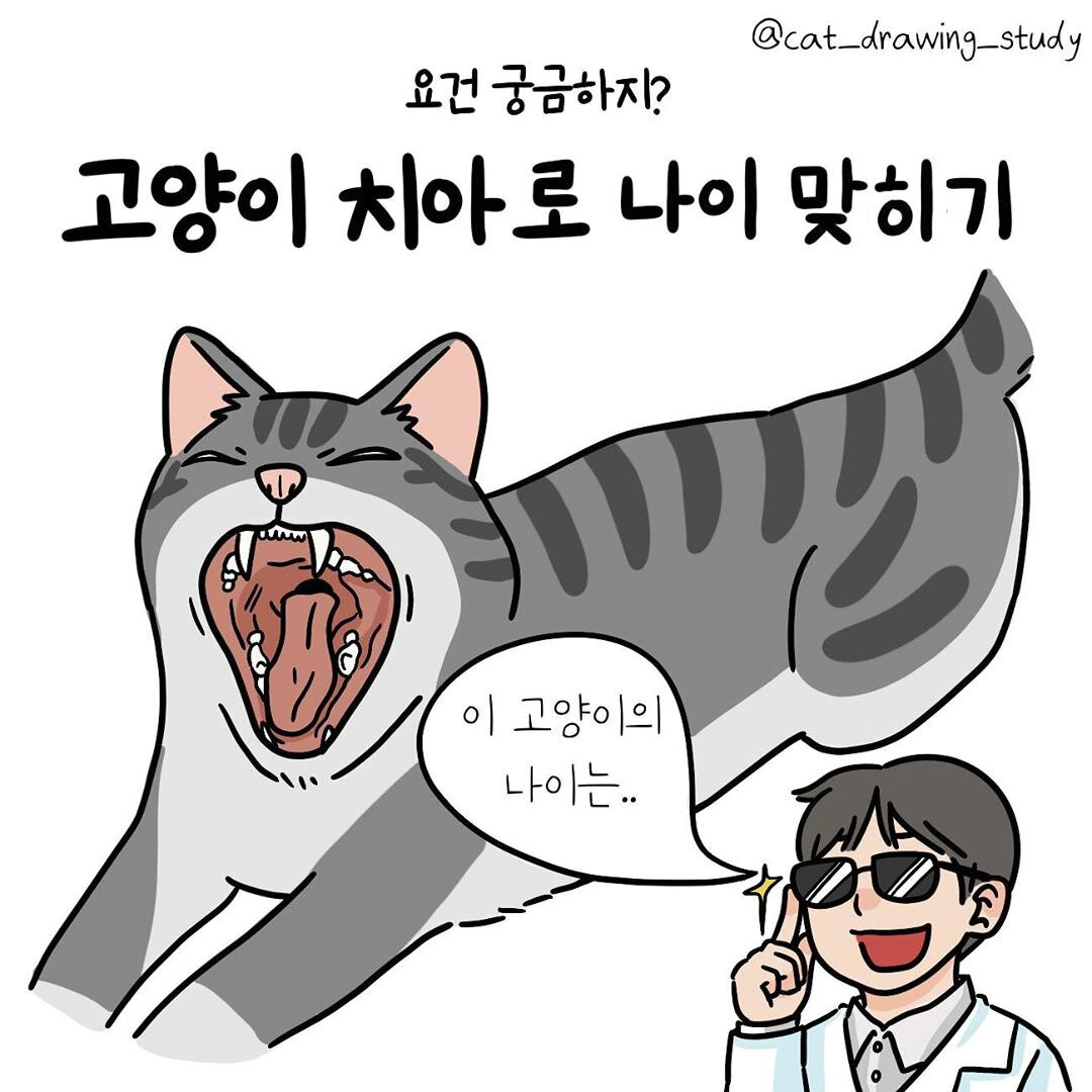 본문 이미지 -  