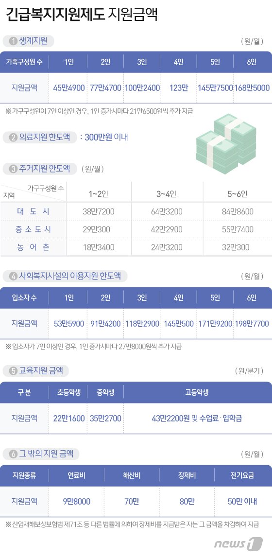 본문 이미지 - ⓒ News1 이지원 디자이너