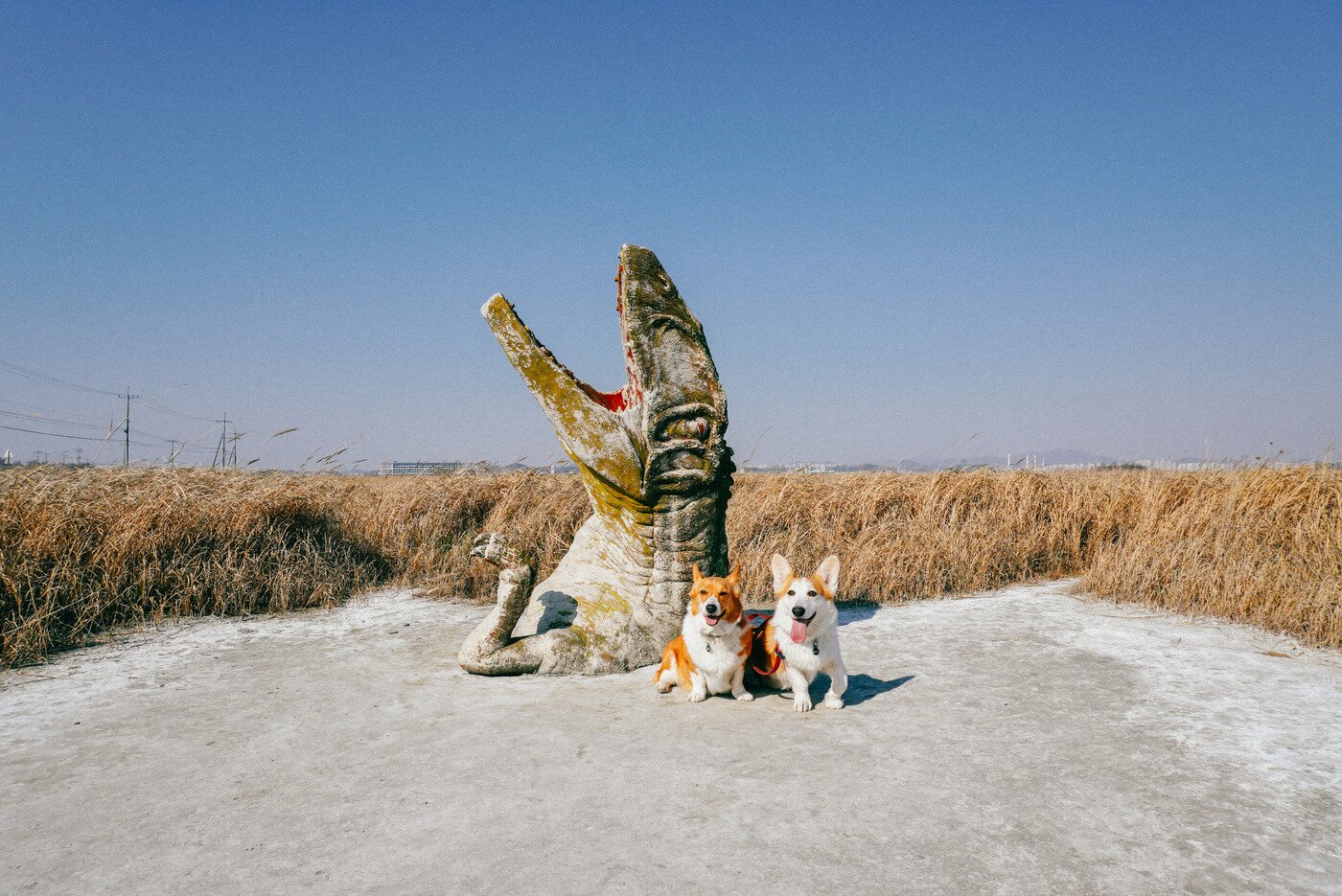본문 이미지 - 화성 고정리 공룡알 화석산지 탐방로 입구에서 만날 수 있는 재치 있는 공룡 모형