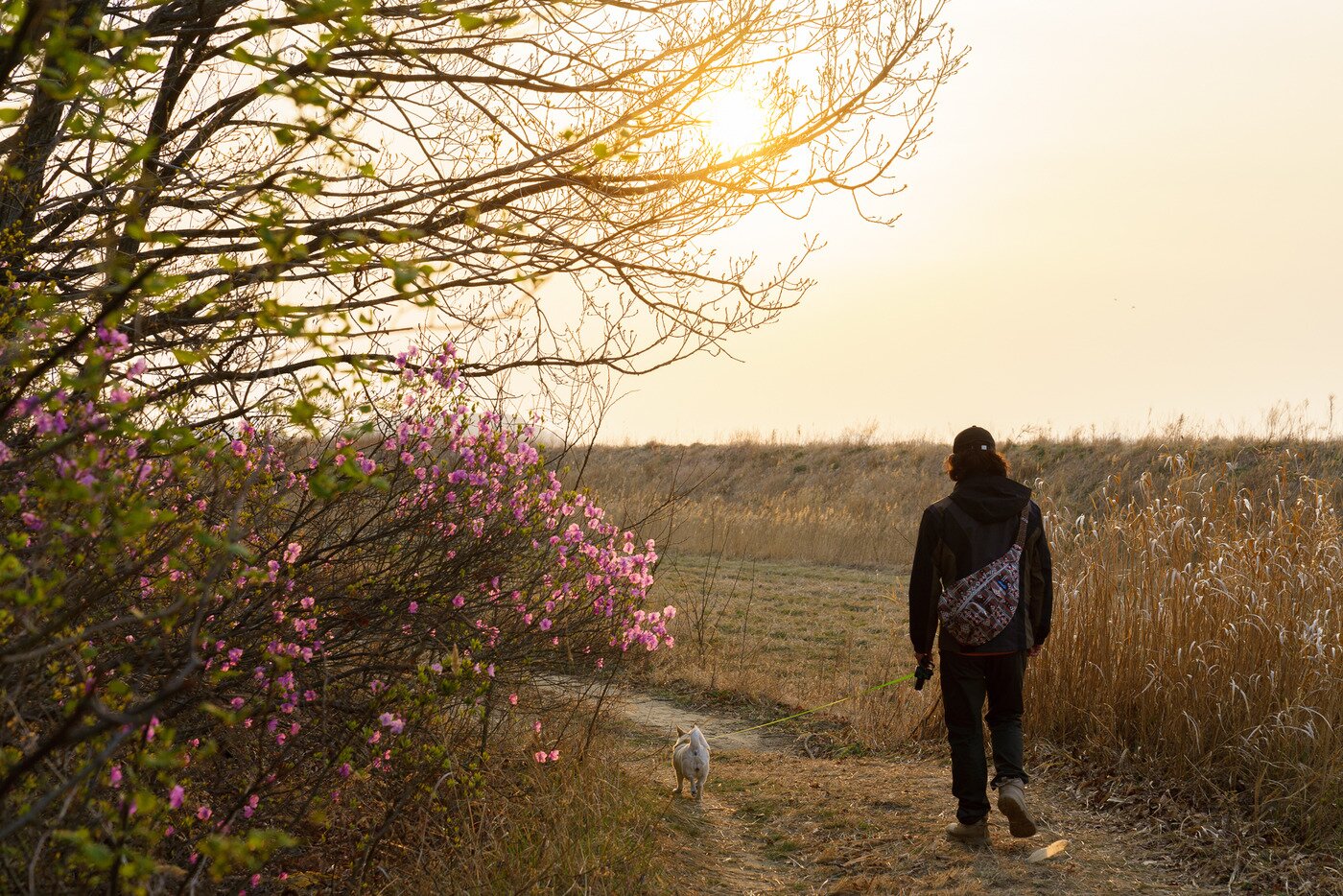 본문 이미지 - 석모도 상주해안길 숲길 끝지점