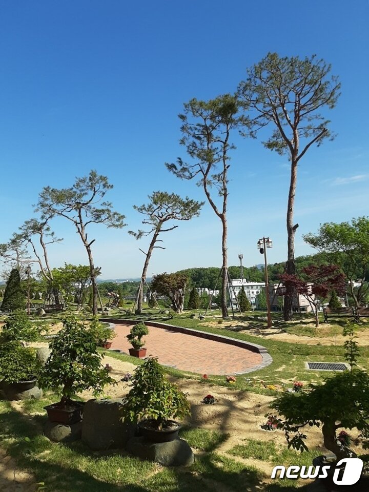 본문 이미지 - 청주 가든 포레스트 전경ⓒ 뉴스1