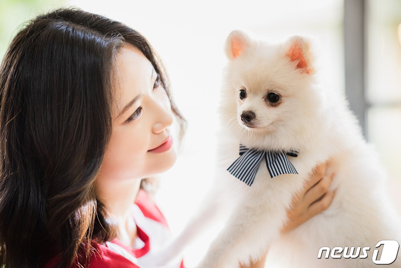 본문 이미지 - 광주여자대학교가 4차 산업혁명 시대를 앞두고 미래 사회에서 요구하는 여성 실무인재 양성을 위해 미래 유망학과를 신설한다. 애완동물 보건학과 이미지.(광주여대 제공)2020.5.19/뉴스1 ⓒ News1