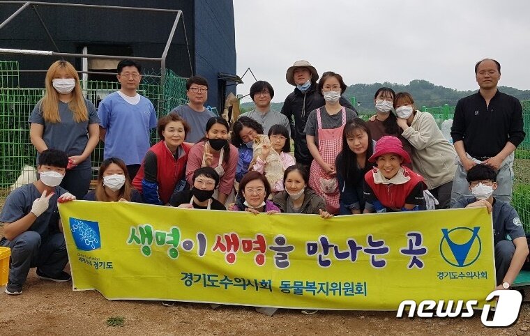 본문 이미지 - 경기도수의사회는 24일 고양시 고유거에서 봉사활동을 진행했다. ⓒ 뉴스1