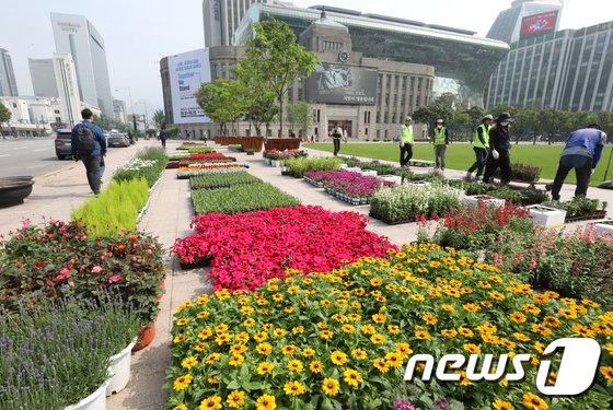 화려한 꽃 수놓은 서울광장