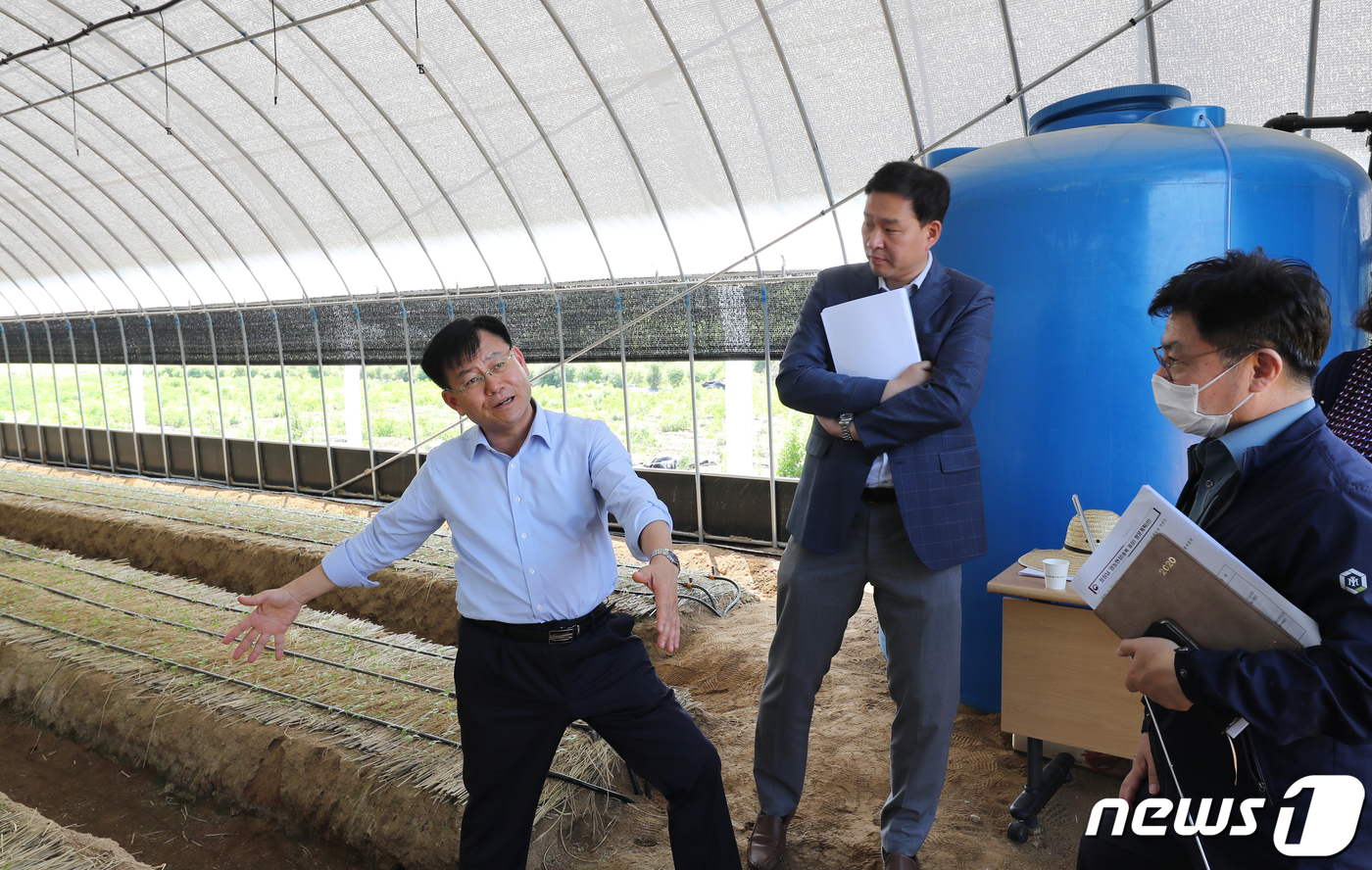 (서울=뉴스1) = 김경규 농촌진흥청장이 26일 '개방형 이중구조 하우스 시설'을 이용해 인삼을 재배하고 있는 충북 음성군의 인삼 농가를 방문, 시설을 살펴보고 있다. (농촌진흥청 …