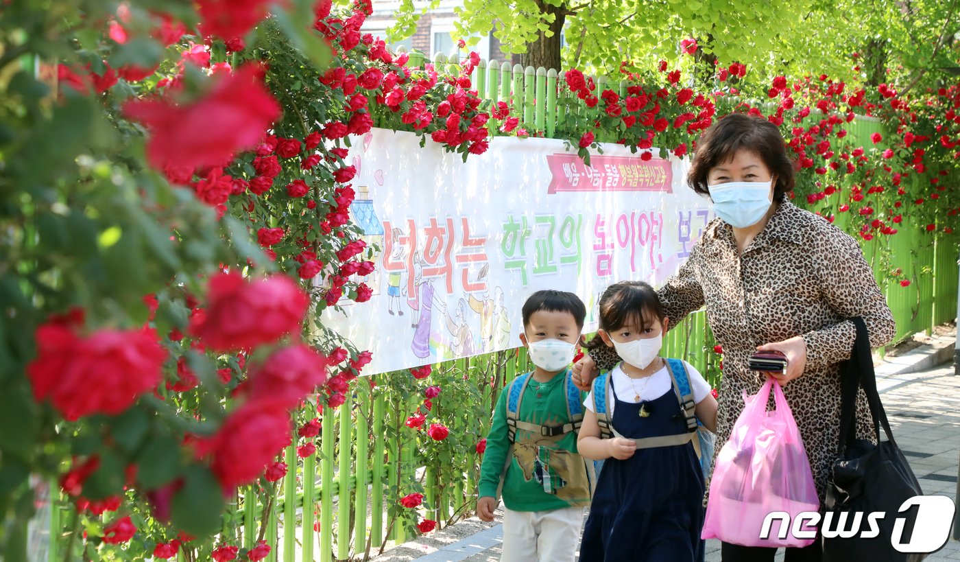 본문 이미지 - 유치원생들이 27일 서울 성북구 월곡초등학교 앞에서 할머니와 함께 등원하고 있다. 이날 초등 1~2학년과 유치원생, 고등학교 2학년, 중학교 3학년이 예정대로 등교수업을 시작한다. 등교를 하루 앞두고 교사와 학생이 잇따라 신종 코로나바이러스 감염증&#40;코로나19&#41; 확진판정을 받으면서 최소 453개 학교가 등교를 연기하는 등 학부모 불안감은 커지고 있다. 2020.5.27/뉴스1 ⓒ News1 김명섭 기자