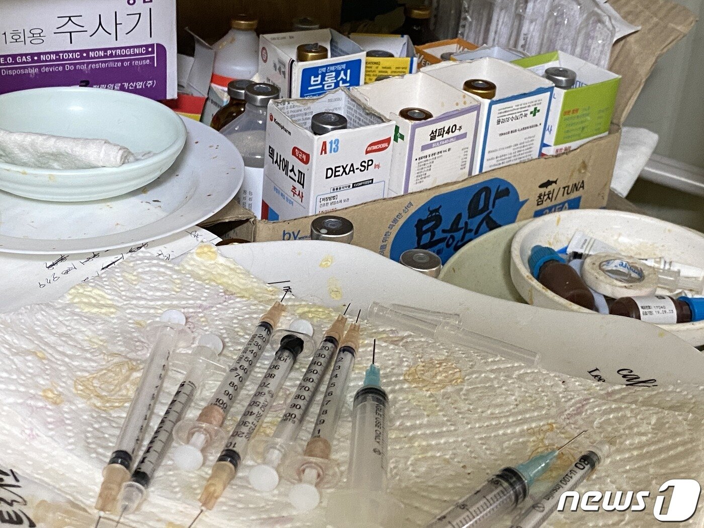 본문 이미지 - 경남 김해의 한 농장에서 발견된 일회용 주사기와 동물약품.2020.05.28/뉴스1ⓒ 뉴스1 여주연 기자