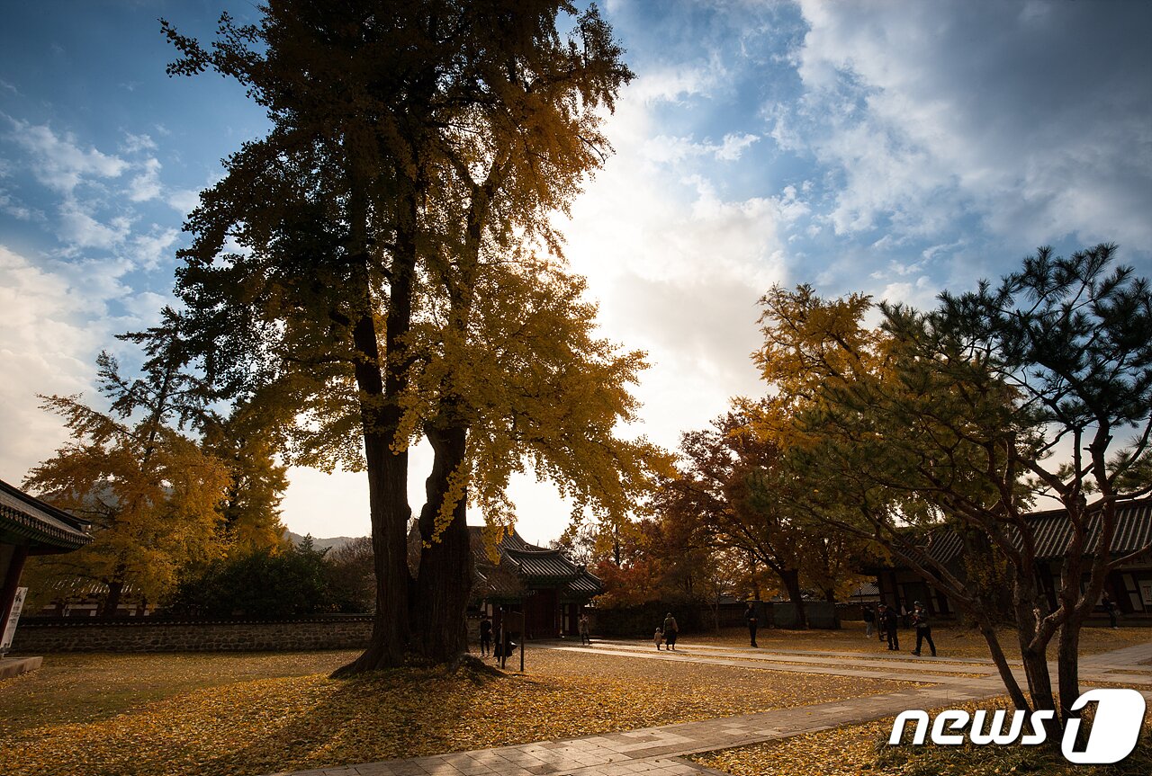본문 이미지 - 전주 한옥마을 골목길 투어 - 전주향교. /뉴스1