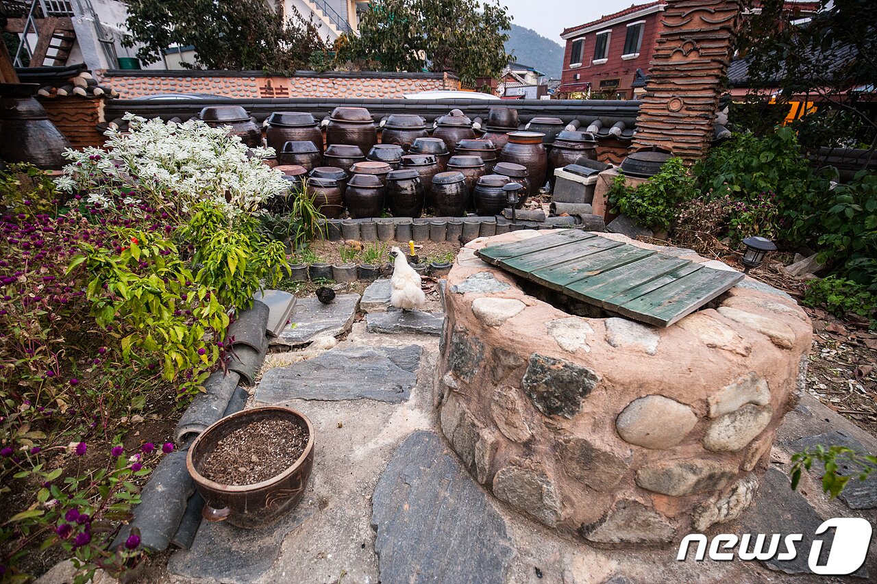 본문 이미지 - 전주 한옥마을 골목길 투어 - 우전재 우물. /뉴스1