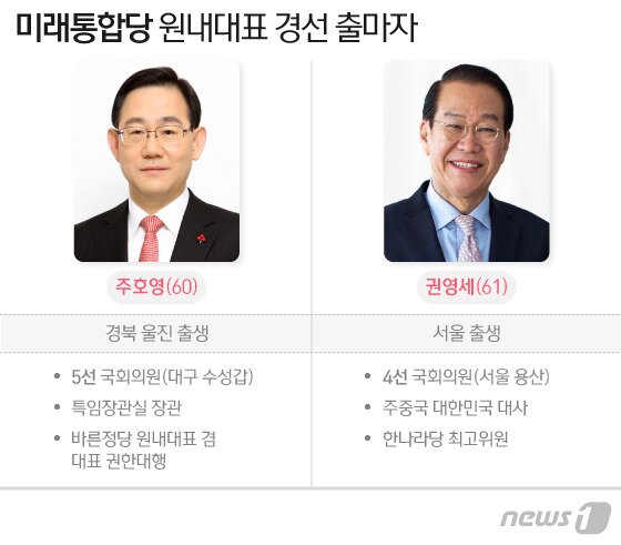 본문 이미지 - 미래통합당의 원내대표 경선이 5선의 주호영 당선인(대구 수성갑)과 4선의 권영세 당선인(서울 용산) 2파전으로 6일 확정됐다. ⓒ News1 이지원 디자이너