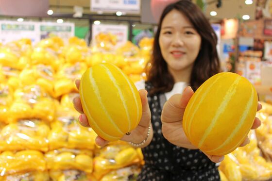 베트남서 맛보는 성주 꿀참외…수출협상 17년만에 8번째 품목 타결