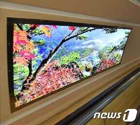 본문 이미지 - (평양 노동신문=뉴스1) = 북한 노동당 기관지 노동신문은 13일 '지하 평양이 젊어진다'라는 제목의 기사를 싣고 평양 시내 위치한 지하철역 내·외부 사진을 공개했다. 사진은 지난해 개건된 통일역 내부 모습. [국내에서만 사용가능. 재배포 금지. DB 금지. For Use Only in the Republic of Korea. Redistribution Prohibited] rodongphoto@news1.kr