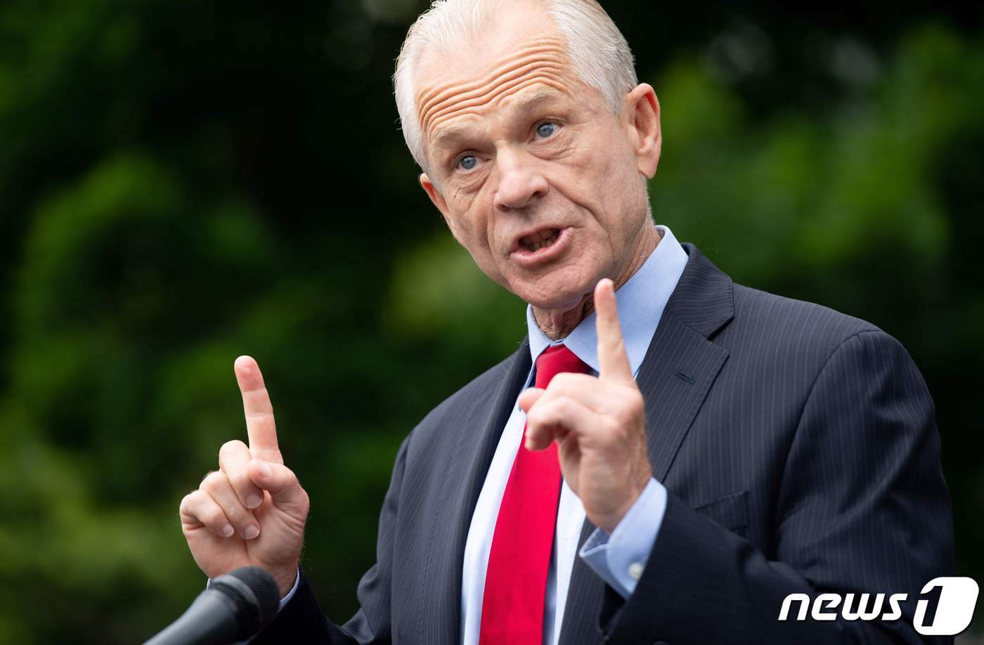 본문 이미지 - 피터 나바로 전 백악관 국가무역위원회 위원장 ⓒ AFP=뉴스1 ⓒ News1 우동명 기자