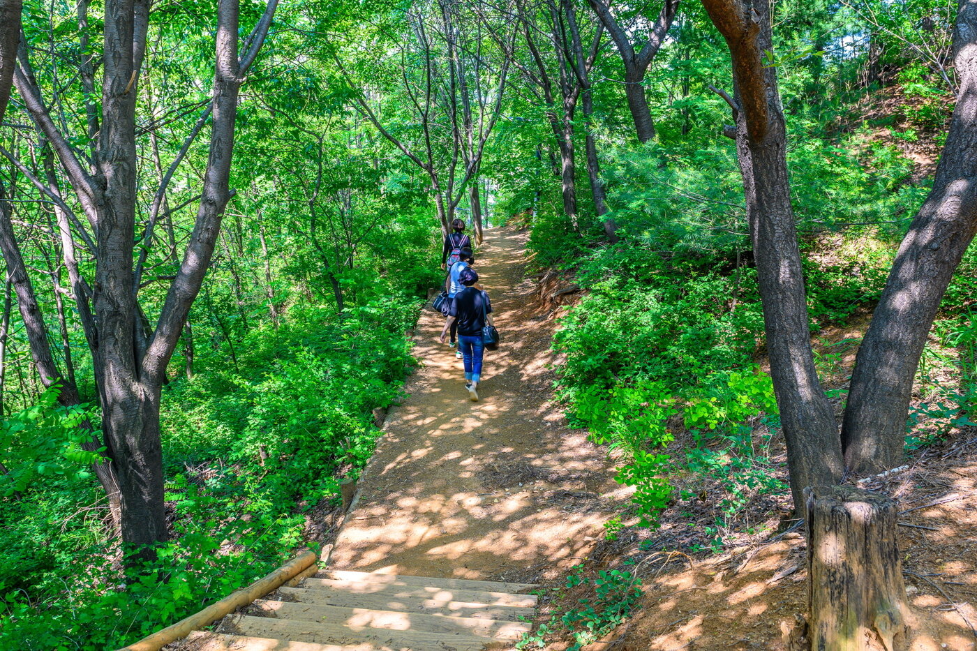 본문 이미지 - 성산 산책로