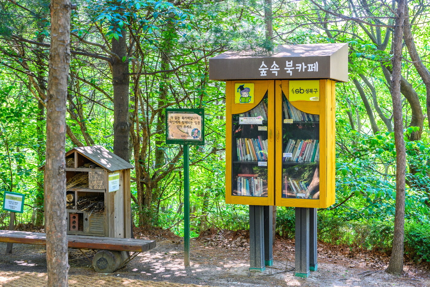 본문 이미지 - 개운산에 만들어진 산마루 북카페