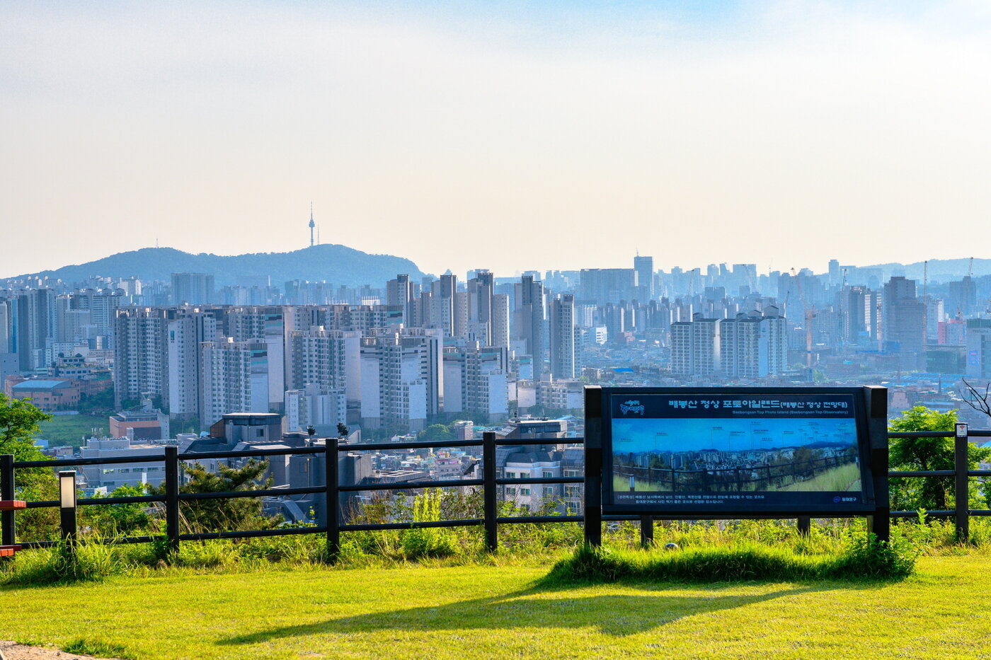 본문 이미지 - 배봉산 정상에서 본 남산타워 일대