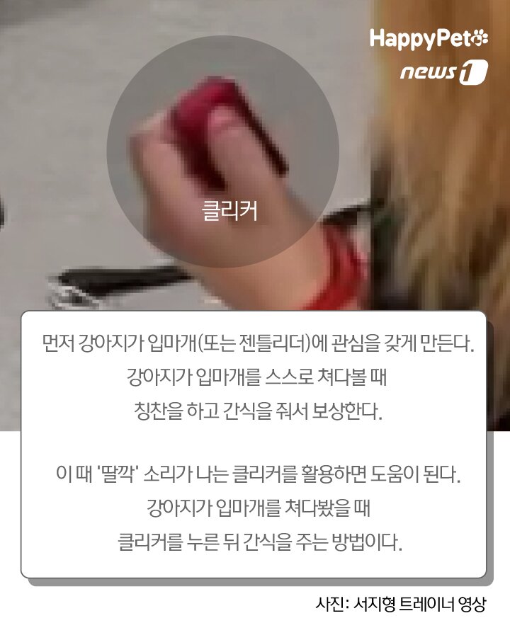 본문 이미지 -  