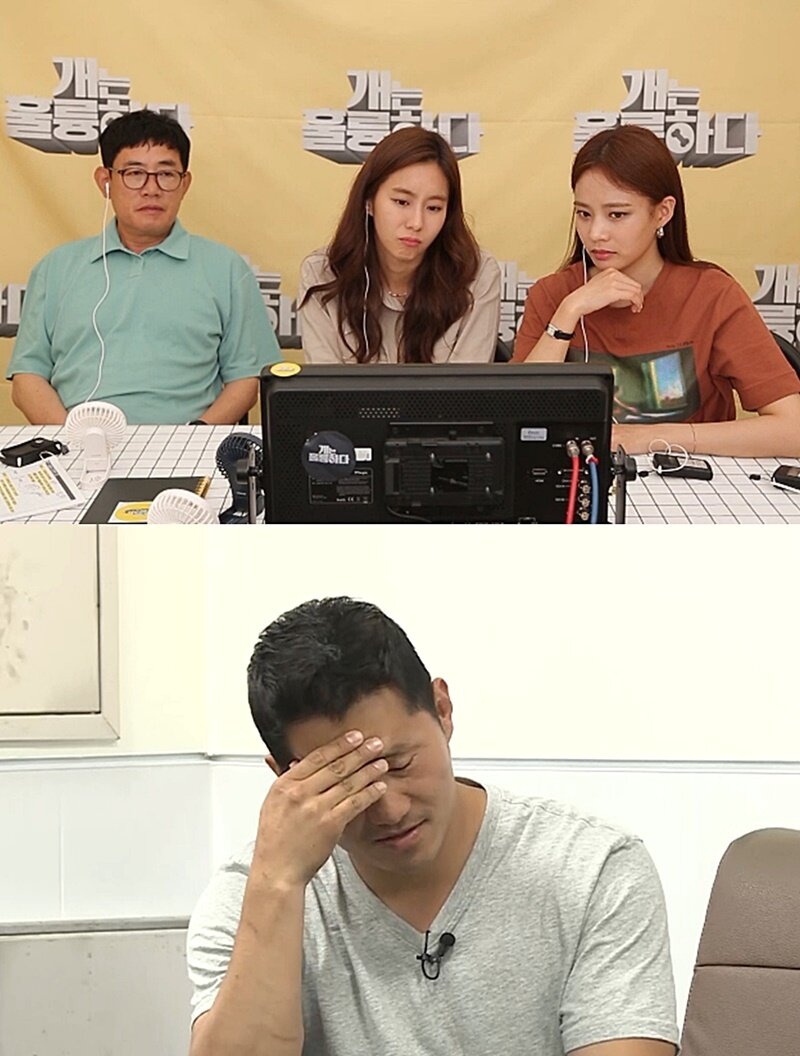 본문 이미지 - KBS '개는 훌륭하다' ⓒ 뉴스1