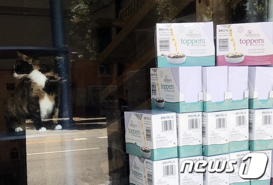 퍼플네스트, 동물구조119에 고양이 습식사료 1톤 후원 - 뉴스 썸네일 이미지