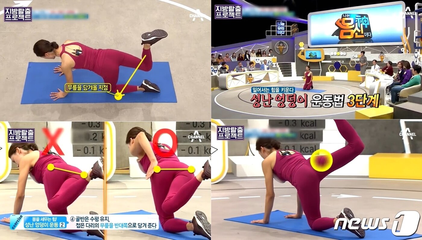 본문 이미지 - 채널A 교양프로그램 '나는 몸신이다' 방송화면 갈무리 ⓒ 뉴스1