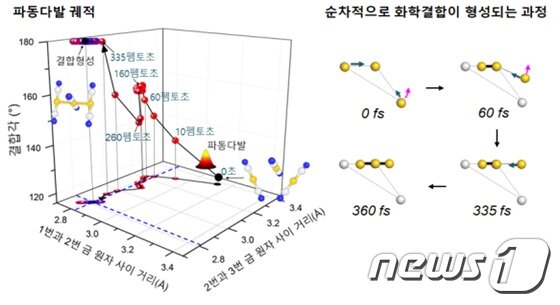 본문 이미지 - 펨토초 엑스선 회절법으로 관찰한 금 삼합체의 화학결합 메커니즘(IBS 제공)ⓒ 뉴스1