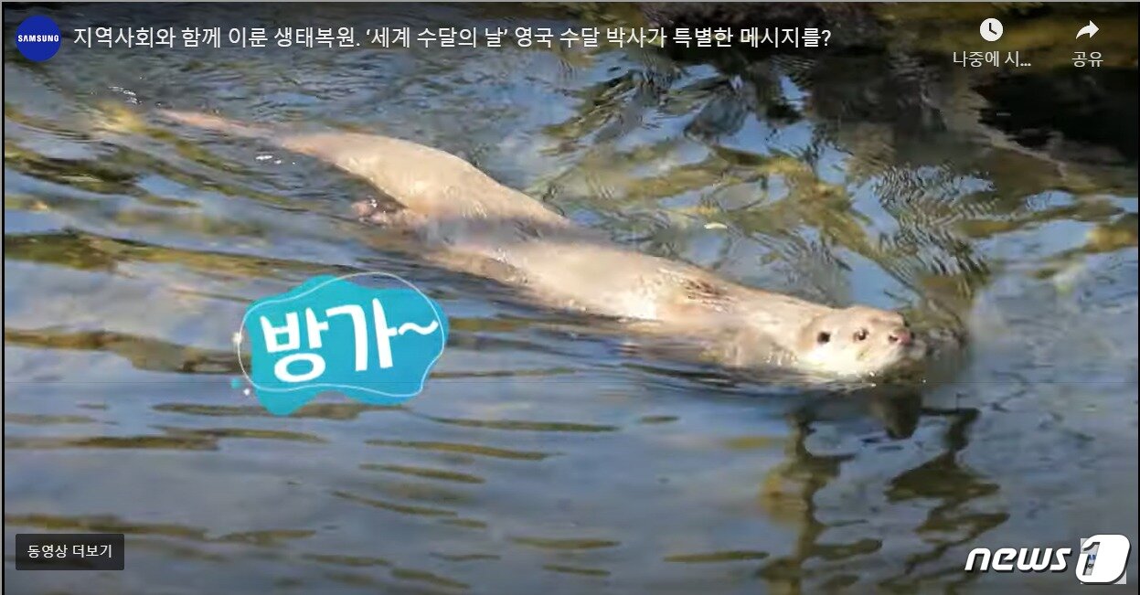 본문 이미지 - (삼성전자 뉴스룸 유튜브 갈무리)2020.06.25/뉴스1 ⓒ 뉴스1