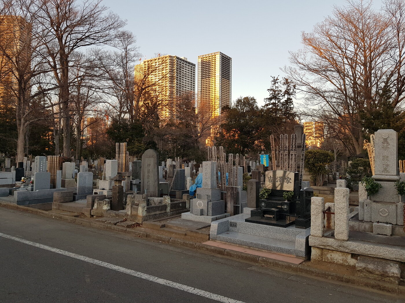 본문 이미지 - 조시가야 공원묘지를 내려다보고 있는 고층 아파트. 조성관 작가