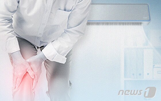 본문 이미지 - ⓒ News1 DB