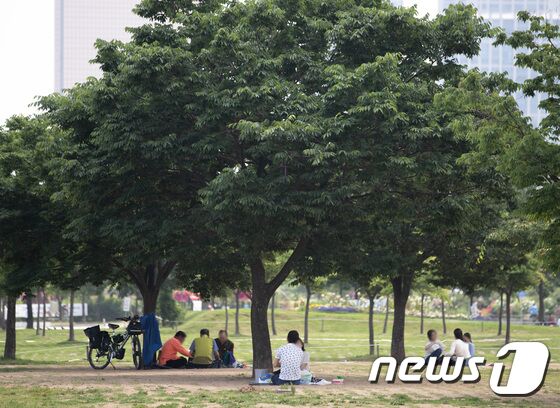 내일 날씨] 남부 폭염특보 지속…대구 낮 최고 35도(종합) - 뉴스1