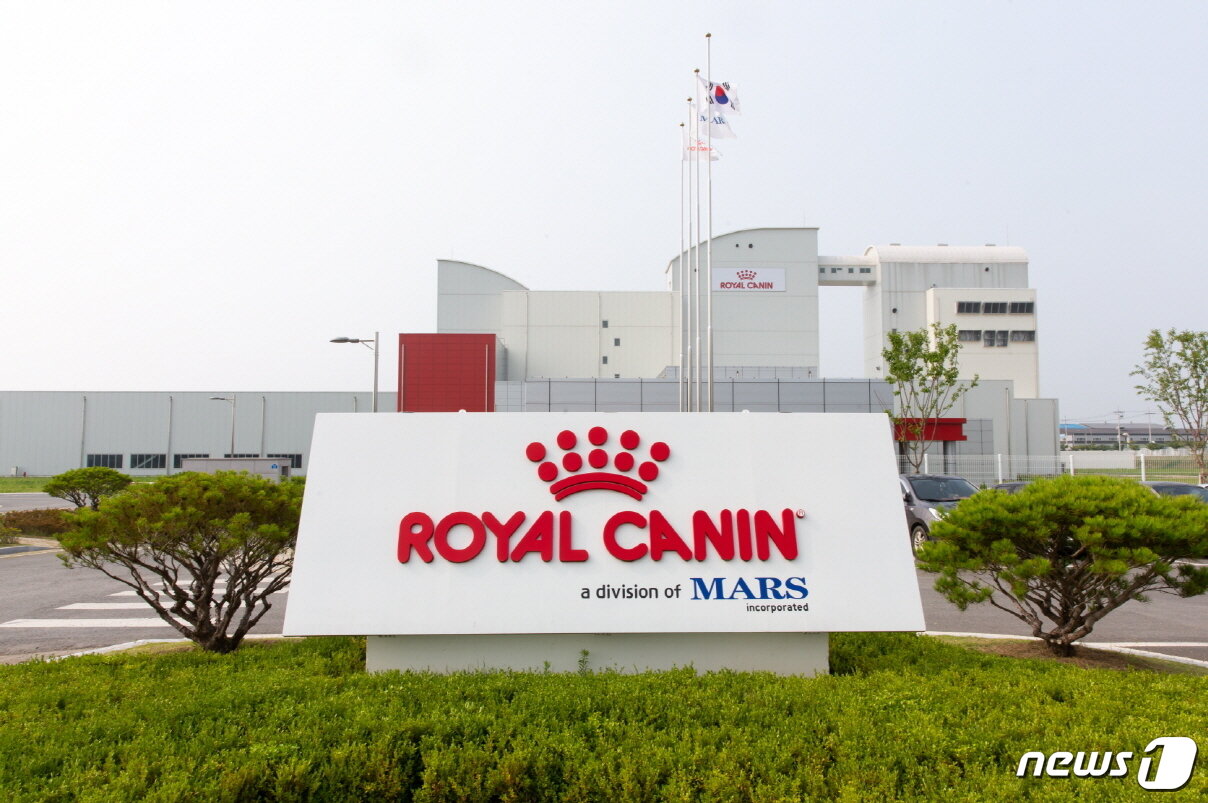 본문 이미지 - 사진 로얄캐닌 제공 ⓒ 뉴스1