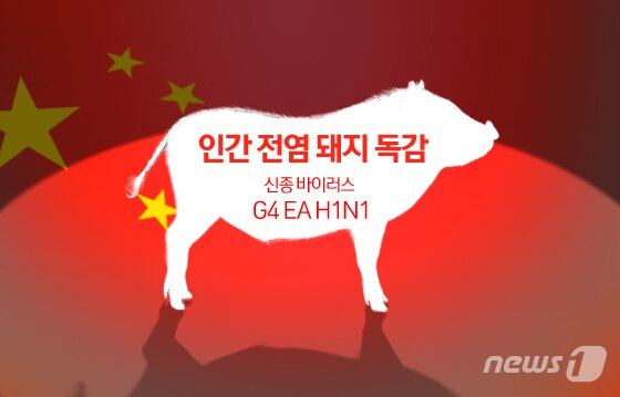 본문 이미지 - ⓒ News1 김일환 디자이너