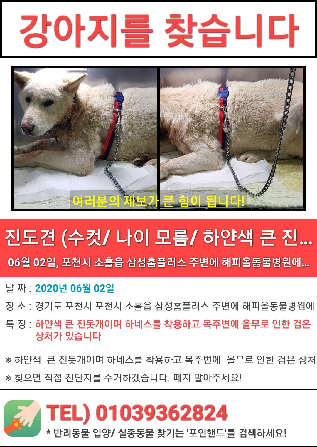 본문 이미지 - 경기도 포천에서 실종된 백구를 찾는 전단지 ⓒ 뉴스1
