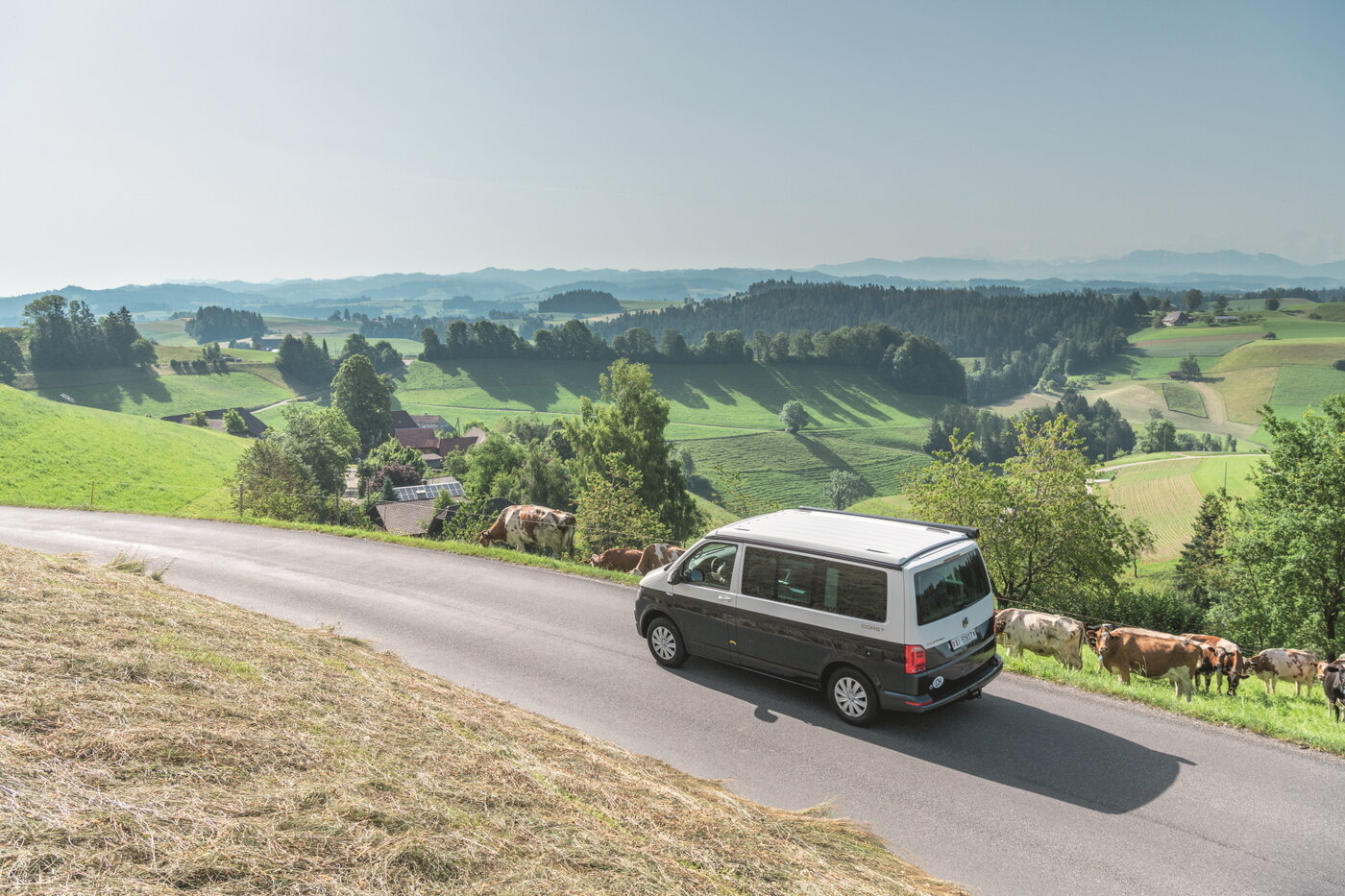 본문 이미지 - 아폴테른
