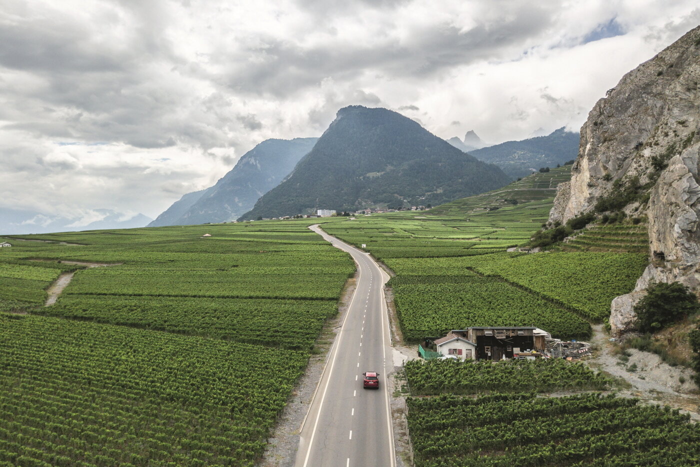 본문 이미지 - 아르동