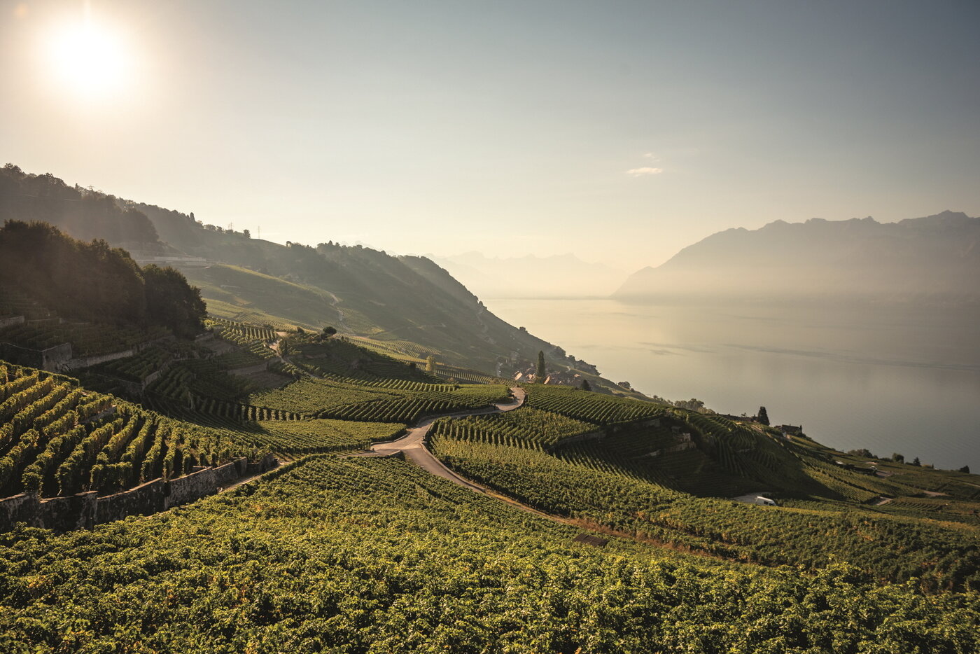 본문 이미지 - 에뻬쓰