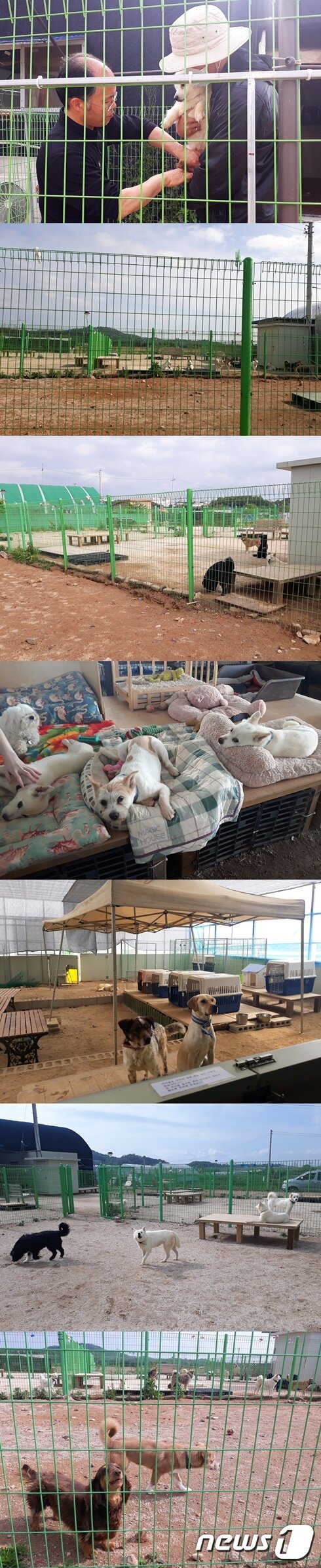 본문 이미지 - 경기도에 위치한 고유거 동물보호소의 내외부 모습. ⓒ 뉴스1 최서윤 기자