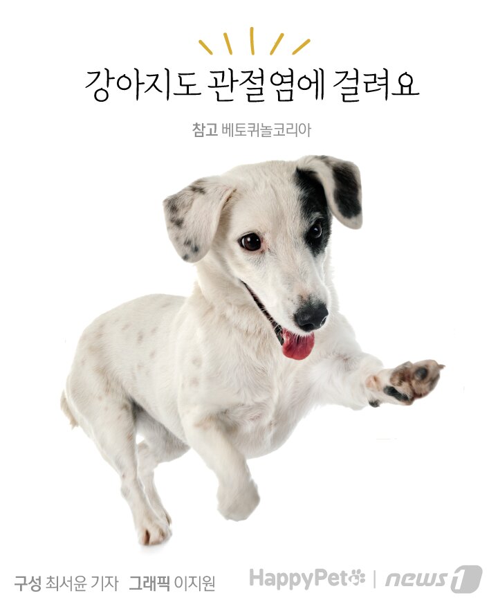 본문 이미지 - ⓒ News1