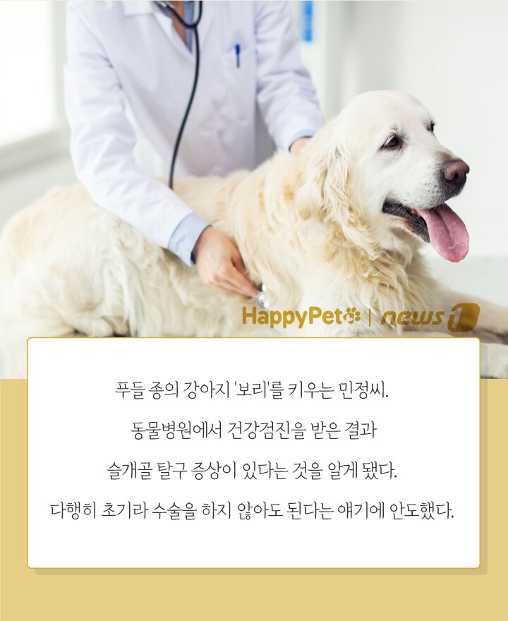 본문 이미지 - ⓒ News1