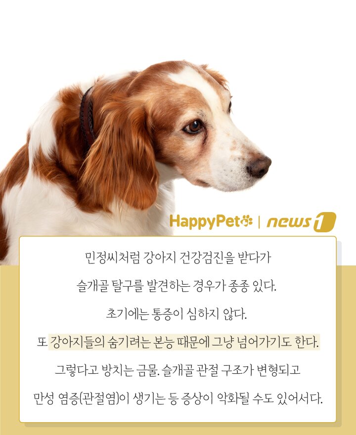 본문 이미지 - ⓒ News1