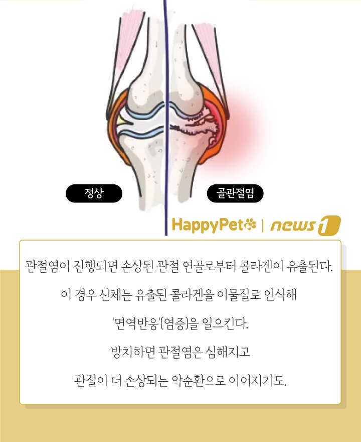 본문 이미지 - ⓒ News1