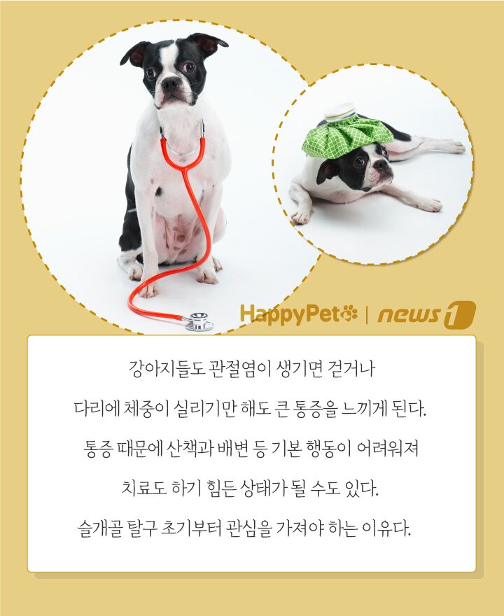 본문 이미지 - ⓒ News1