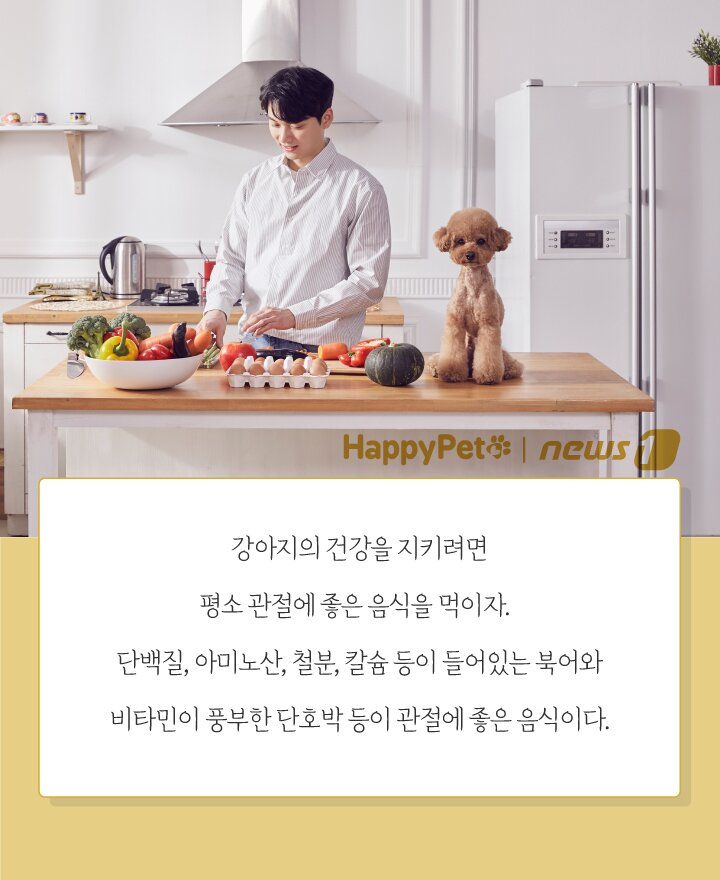 본문 이미지 - ⓒ News1