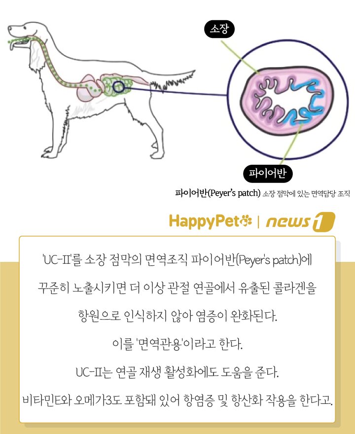 본문 이미지 - ⓒ News1