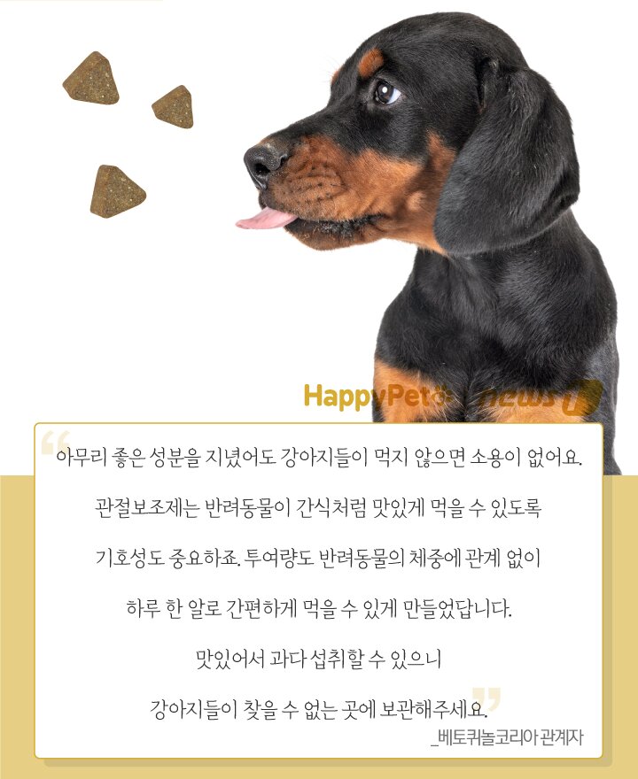 본문 이미지 - ⓒ News1