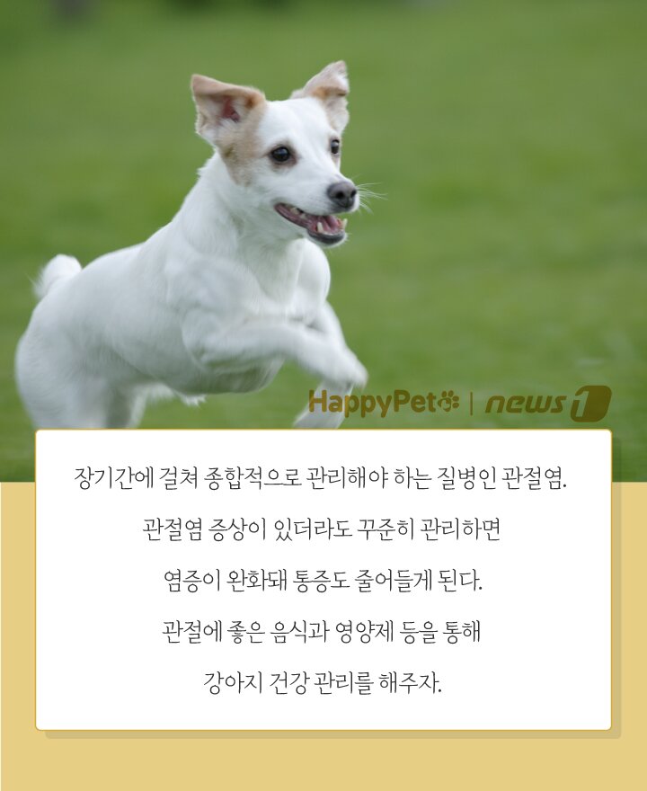 본문 이미지 - ⓒ News1